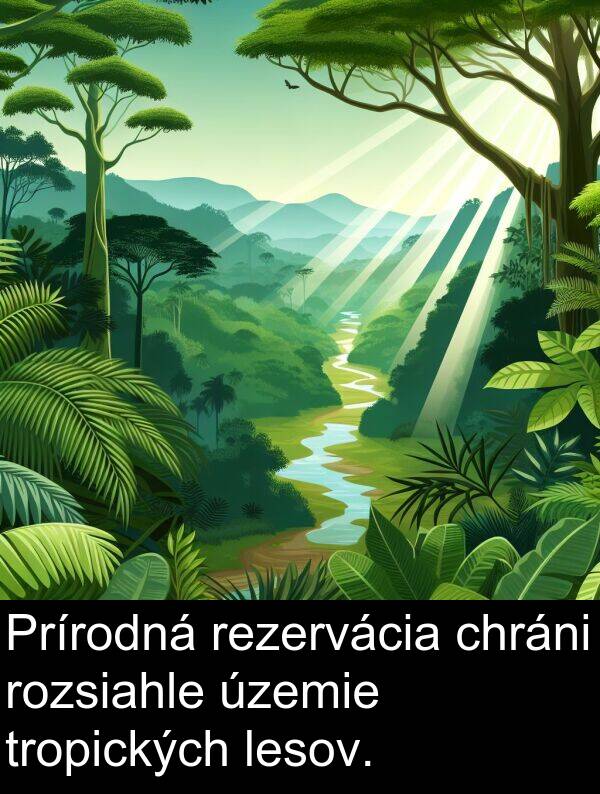 rozsiahle: Prírodná rezervácia chráni rozsiahle územie tropických lesov.