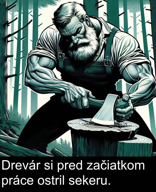 ostril: Drevár si pred začiatkom práce ostril sekeru.