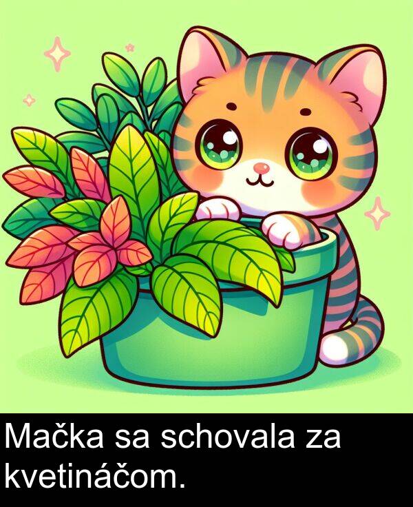 schovala: Mačka sa schovala za kvetináčom.