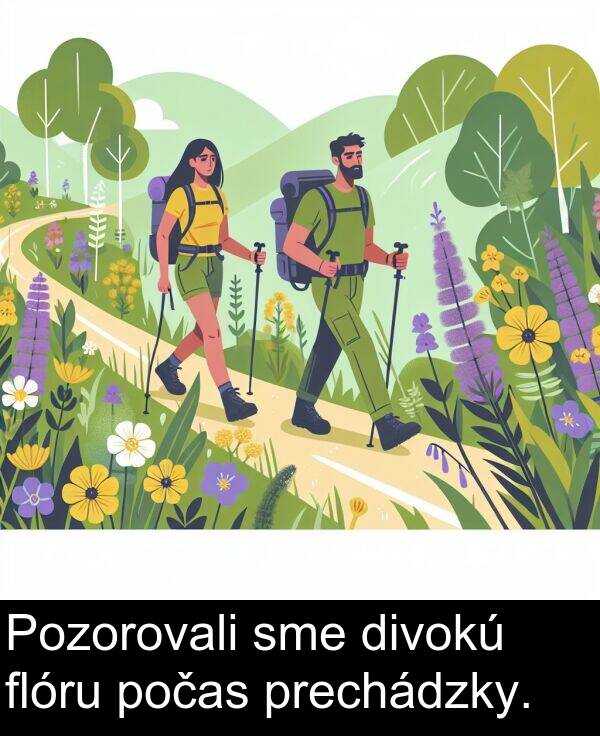 divokú: Pozorovali sme divokú flóru počas prechádzky.