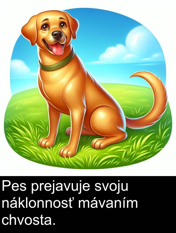 chvosta: Pes prejavuje svoju náklonnosť mávaním chvosta.