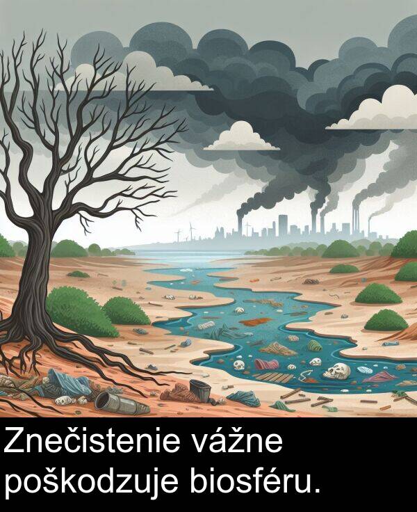 biosféru: Znečistenie vážne poškodzuje biosféru.