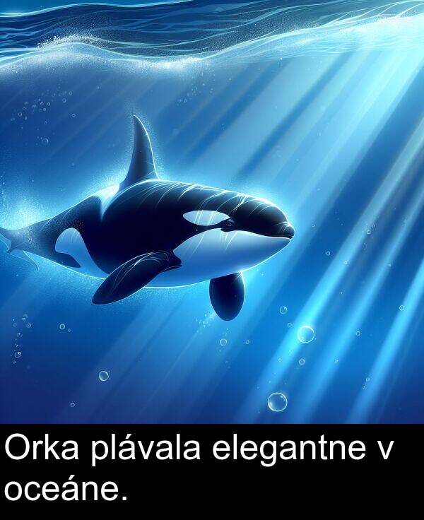 elegantne: Orka plávala elegantne v oceáne.