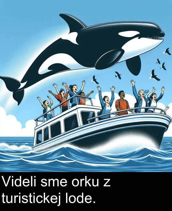 sme: Videli sme orku z turistickej lode.