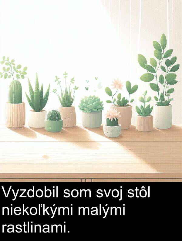 rastlinami: Vyzdobil som svoj stôl niekoľkými malými rastlinami.