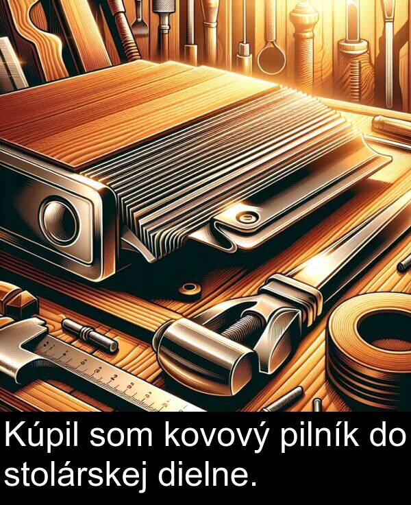 kovový: Kúpil som kovový pilník do stolárskej dielne.