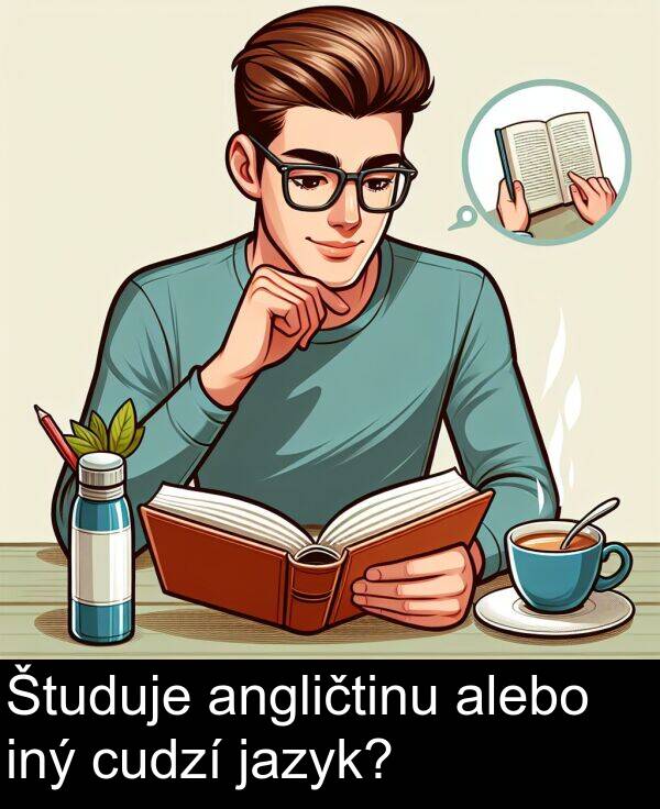 jazyk: Študuje angličtinu alebo iný cudzí jazyk?