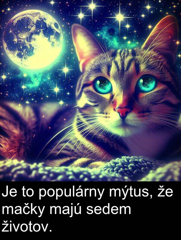 mačky: Je to populárny mýtus, že mačky majú sedem životov.