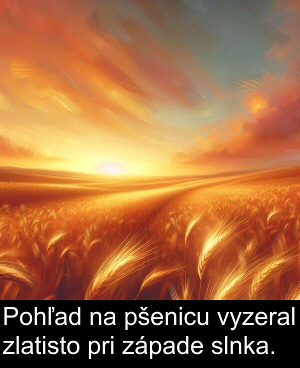 slnka: Pohľad na pšenicu vyzeral zlatisto pri západe slnka.