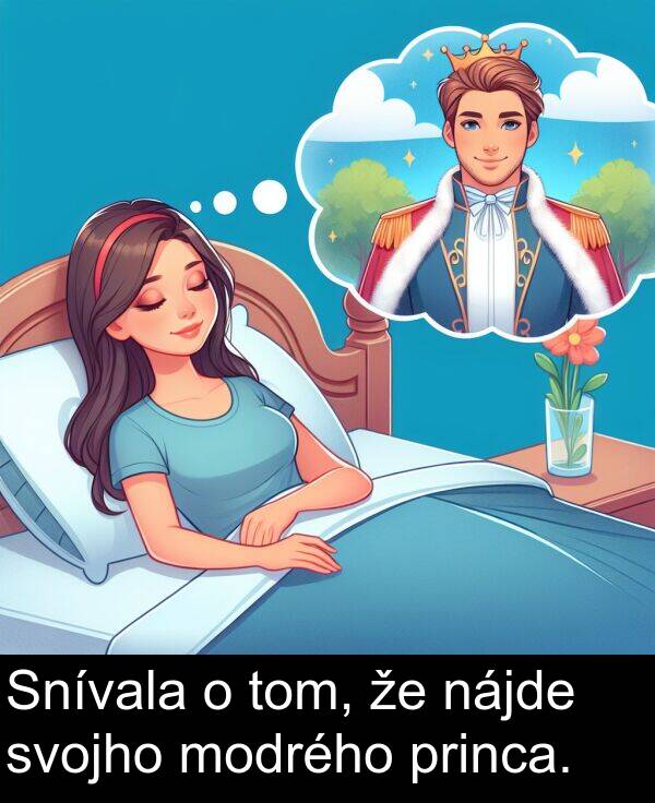 princa: Snívala o tom, že nájde svojho modrého princa.