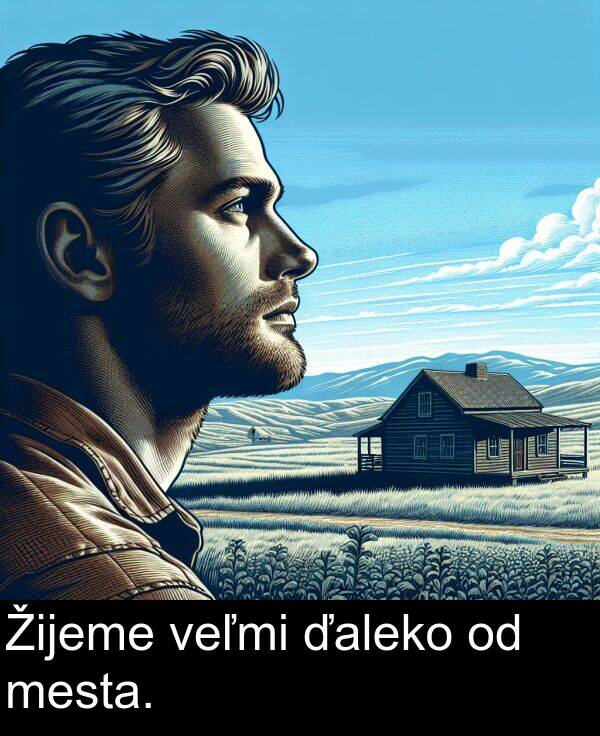 veľmi: Žijeme veľmi ďaleko od mesta.