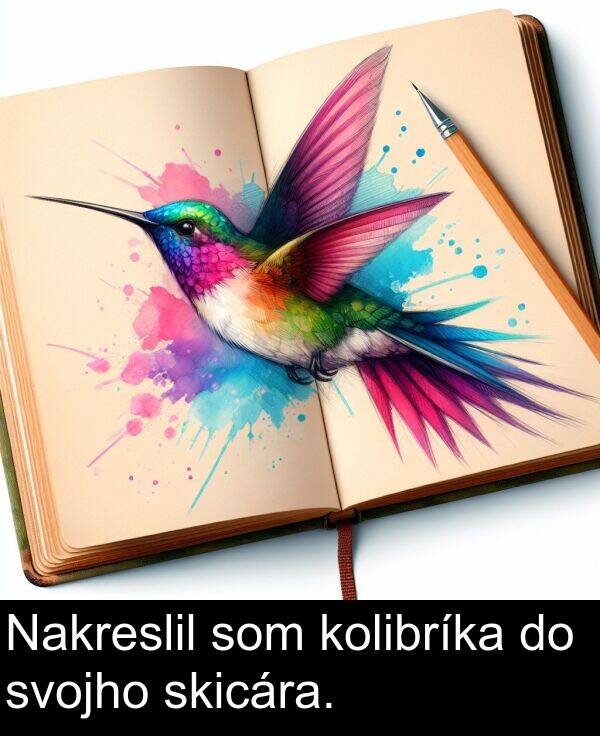 skicára: Nakreslil som kolibríka do svojho skicára.