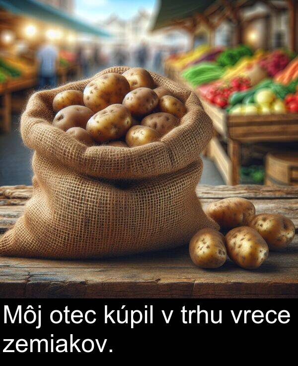 vrece: Môj otec kúpil v trhu vrece zemiakov.