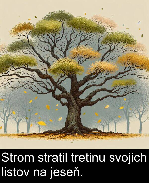 listov: Strom stratil tretinu svojich listov na jeseň.