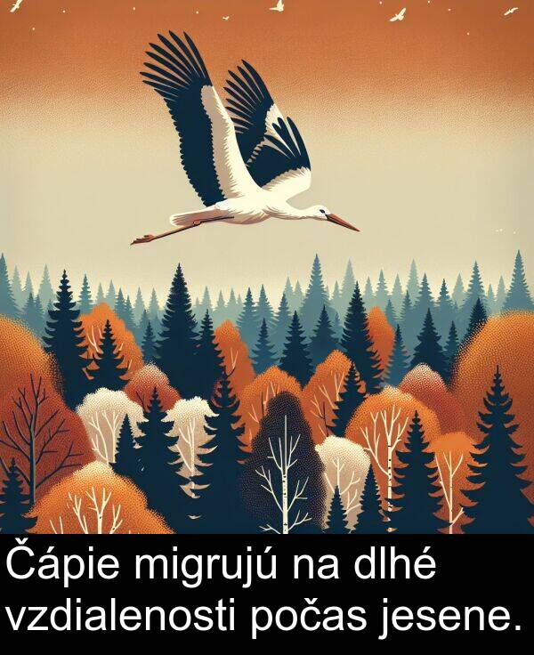 počas: Čápie migrujú na dlhé vzdialenosti počas jesene.