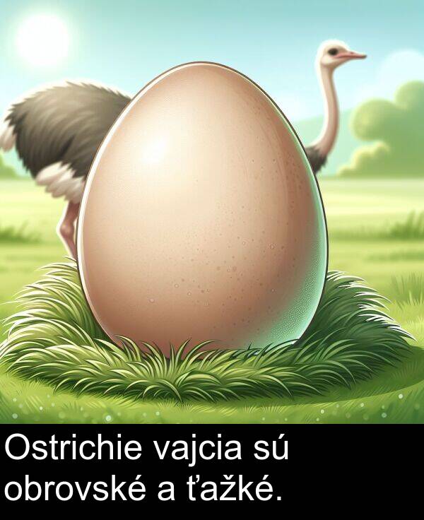 obrovské: Ostrichie vajcia sú obrovské a ťažké.
