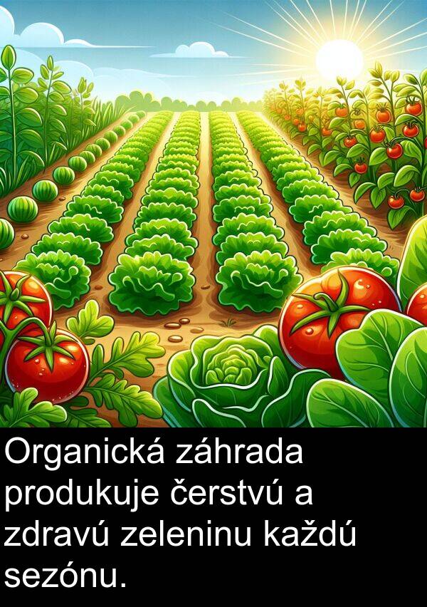 zeleninu: Organická záhrada produkuje čerstvú a zdravú zeleninu každú sezónu.
