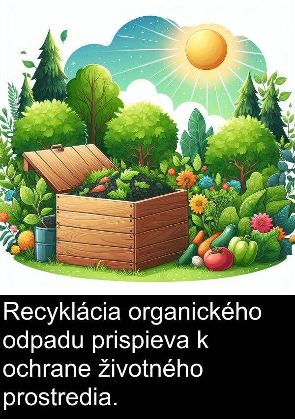 organického: Recyklácia organického odpadu prispieva k ochrane životného prostredia.