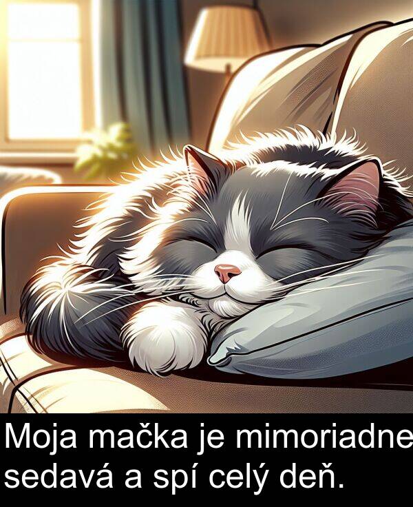 celý: Moja mačka je mimoriadne sedavá a spí celý deň.