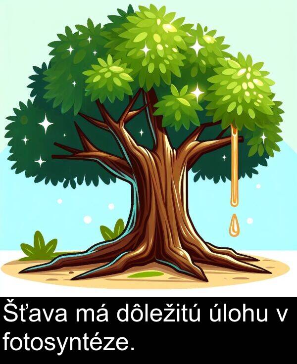 fotosyntéze: Šťava má dôležitú úlohu v fotosyntéze.