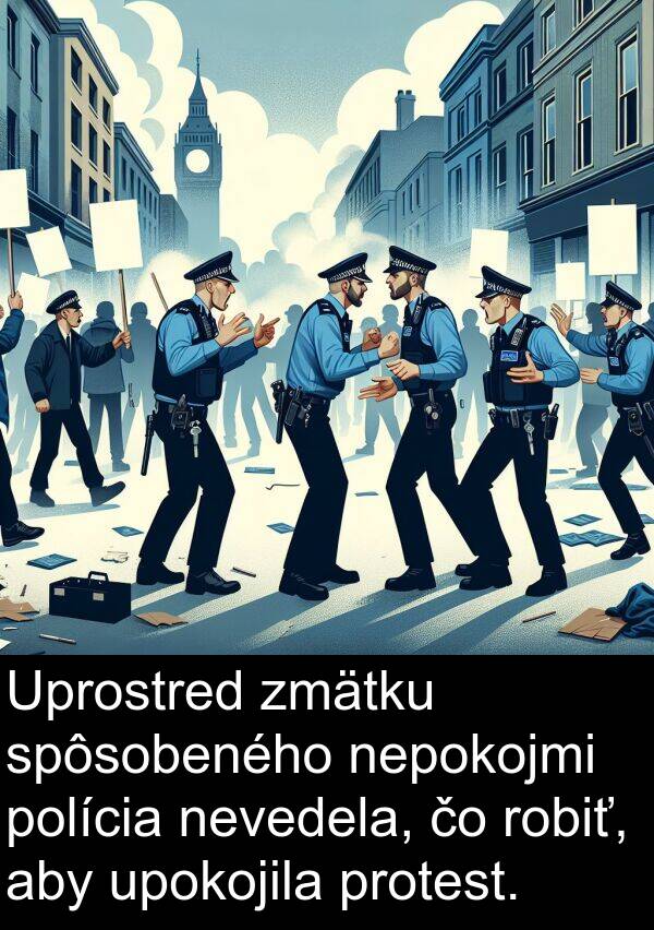 nepokojmi: Uprostred zmätku spôsobeného nepokojmi polícia nevedela, čo robiť, aby upokojila protest.