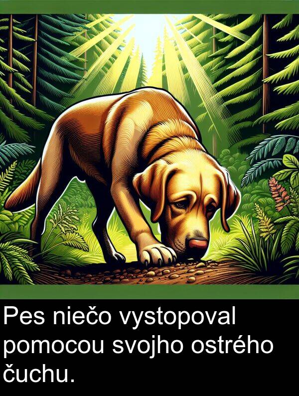 niečo: Pes niečo vystopoval pomocou svojho ostrého čuchu.