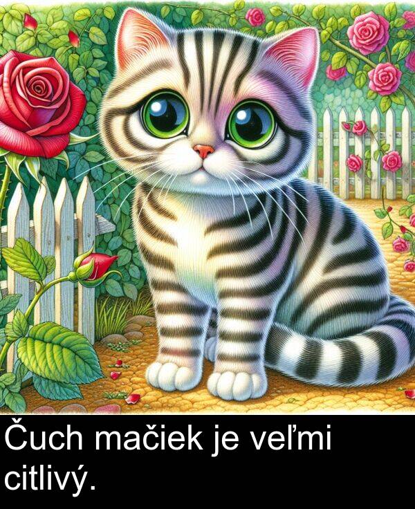 veľmi: Čuch mačiek je veľmi citlivý.