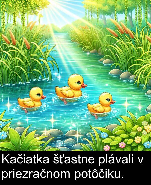 potôčiku: Kačiatka šťastne plávali v priezračnom potôčiku.