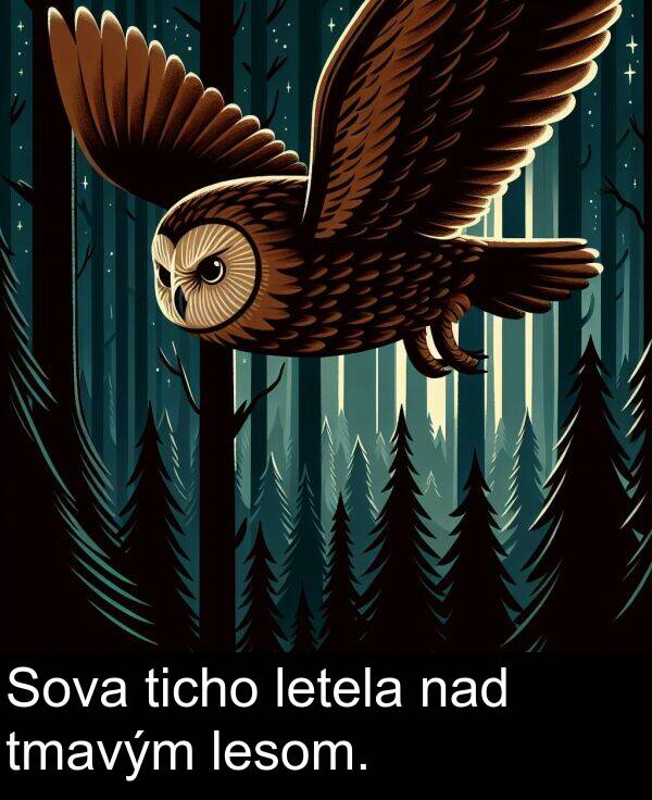nad: Sova ticho letela nad tmavým lesom.