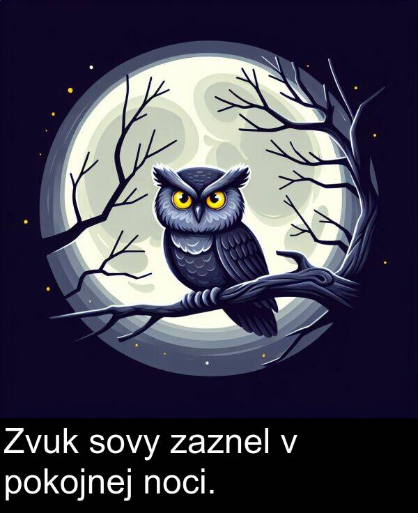 noci: Zvuk sovy zaznel v pokojnej noci.