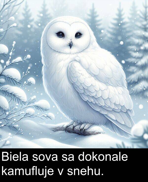 snehu: Biela sova sa dokonale kamufluje v snehu.