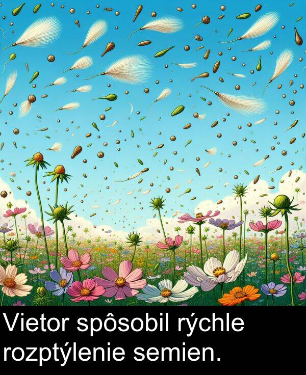 rýchle: Vietor spôsobil rýchle rozptýlenie semien.