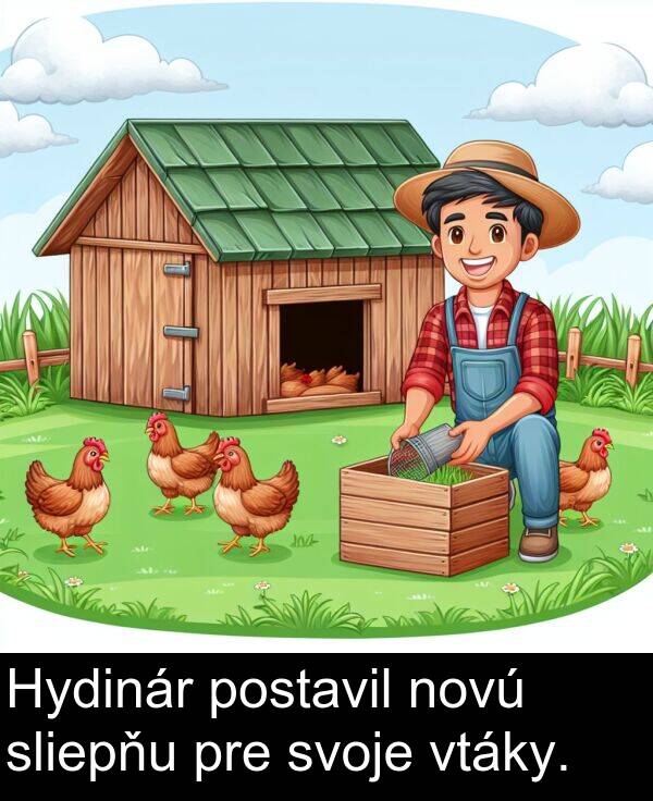 sliepňu: Hydinár postavil novú sliepňu pre svoje vtáky.