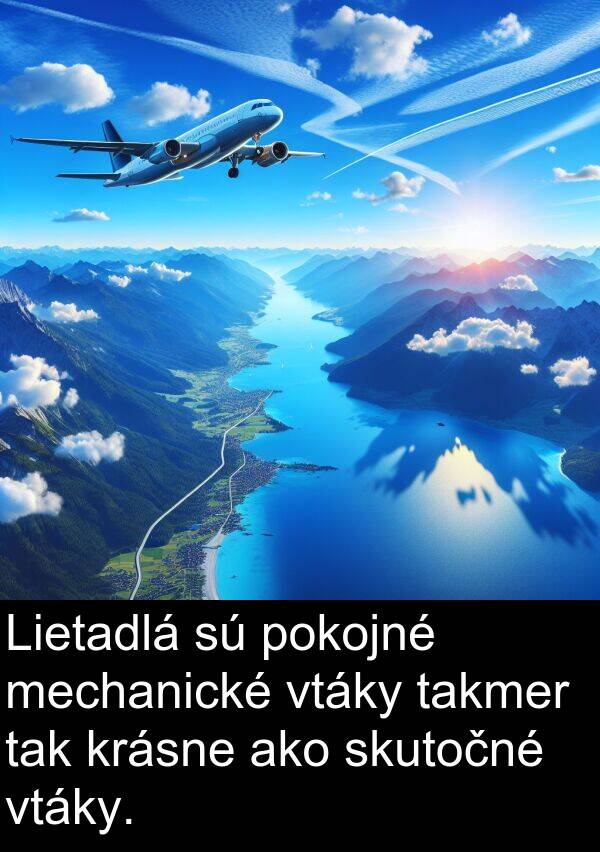 skutočné: Lietadlá sú pokojné mechanické vtáky takmer tak krásne ako skutočné vtáky.