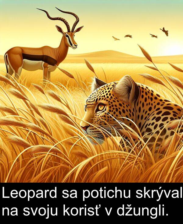 skrýval: Leopard sa potichu skrýval na svoju korisť v džungli.