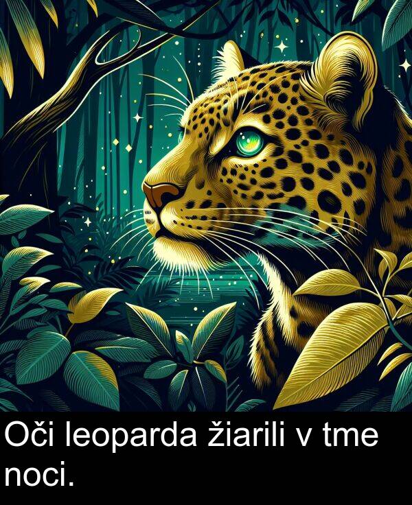 noci: Oči leoparda žiarili v tme noci.