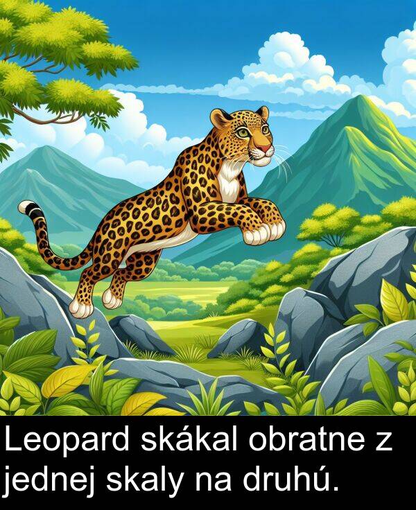 jednej: Leopard skákal obratne z jednej skaly na druhú.