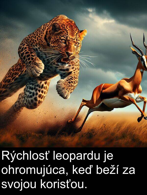 leopardu: Rýchlosť leopardu je ohromujúca, keď beží za svojou korisťou.