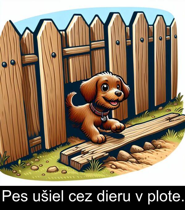 plote: Pes ušiel cez dieru v plote.
