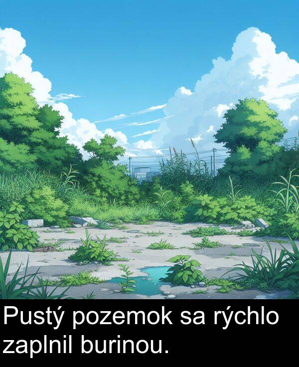 rýchlo: Pustý pozemok sa rýchlo zaplnil burinou.