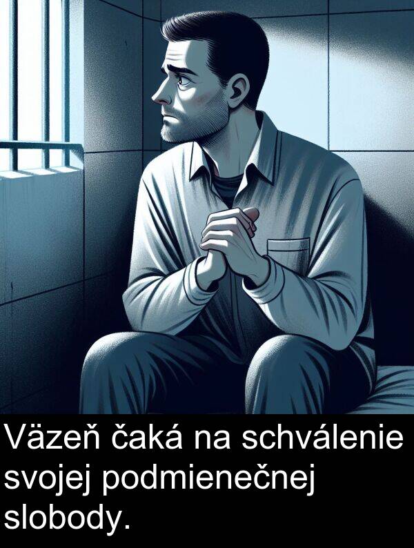 schválenie: Väzeň čaká na schválenie svojej podmienečnej slobody.