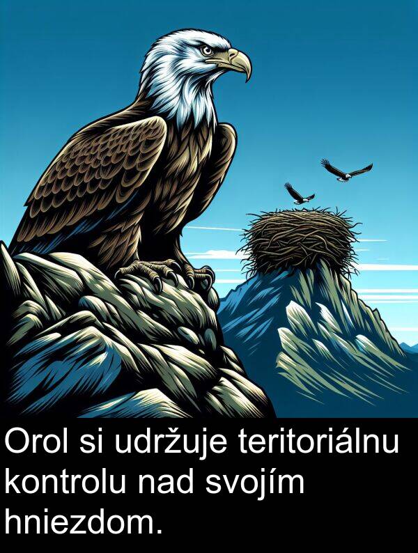 nad: Orol si udržuje teritoriálnu kontrolu nad svojím hniezdom.