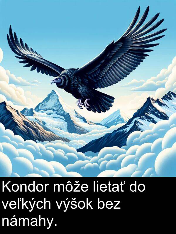 veľkých: Kondor môže lietať do veľkých výšok bez námahy.