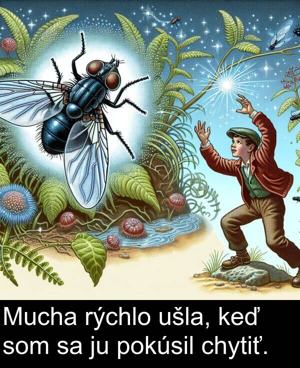 rýchlo: Mucha rýchlo ušla, keď som sa ju pokúsil chytiť.