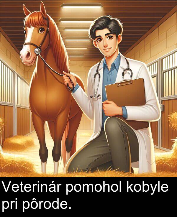 kobyle: Veterinár pomohol kobyle pri pôrode.