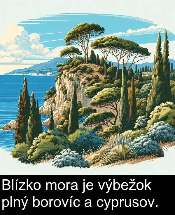 borovíc: Blízko mora je výbežok plný borovíc a cyprusov.