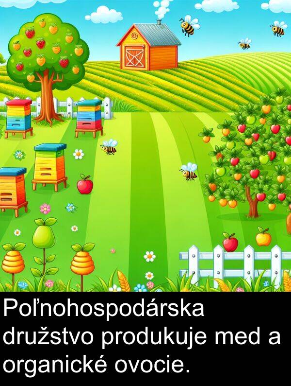 ovocie: Poľnohospodárska družstvo produkuje med a organické ovocie.