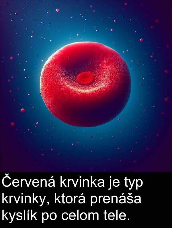 celom: Červená krvinka je typ krvinky, ktorá prenáša kyslík po celom tele.