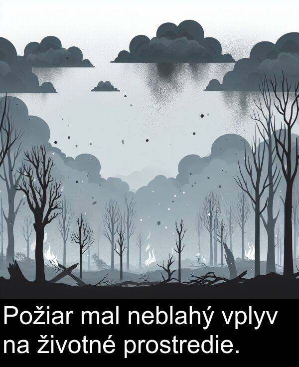 vplyv: Požiar mal neblahý vplyv na životné prostredie.