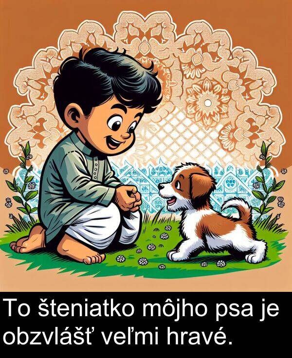 šteniatko: To šteniatko môjho psa je obzvlášť veľmi hravé.